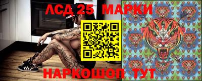 MESCALINE Камышлов