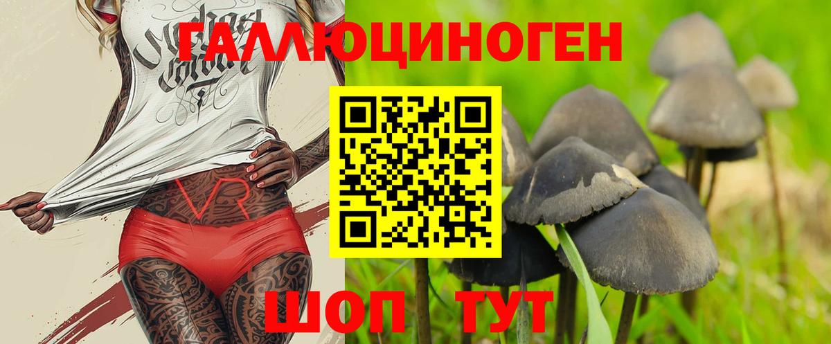 Улан-Удэ  Псилоцибиновые грибы GOLDEN TEACHER  Вход с VPN  Галлюциногенные грибы Psilocybine cubensis 